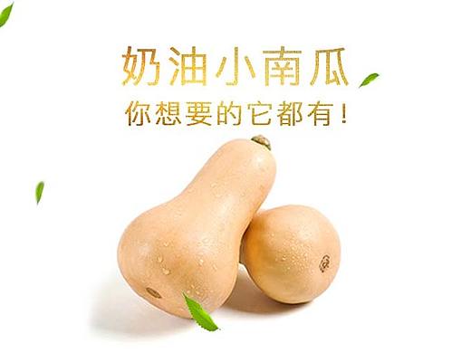 奶油小南瓜banner+详情