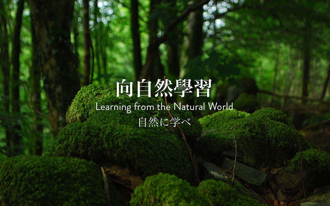 Raputa花园市集企业品牌形象（图ZMjM3MzM1MjQ4） - 品牌 - 站酷设计师aime_chan原创素材 - 站酷ZCOOL