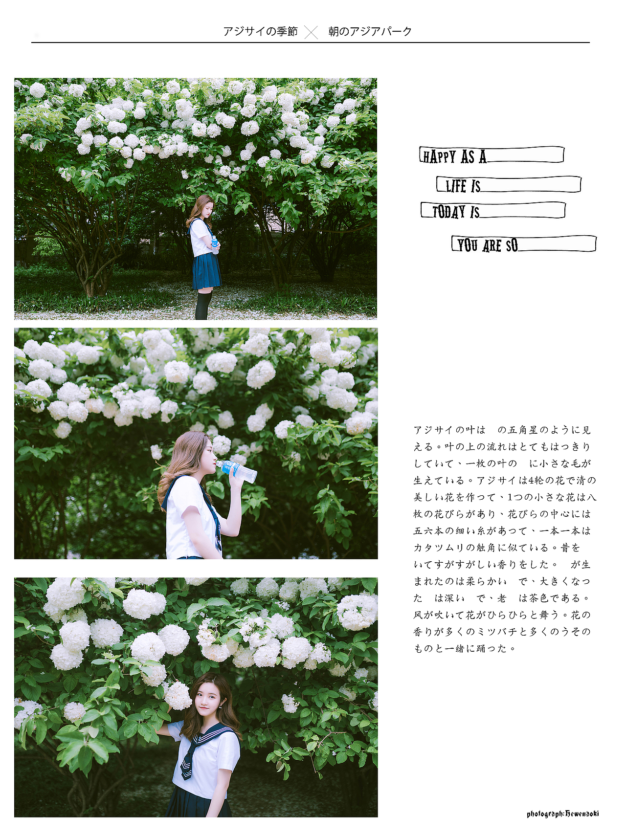 绣球花（图ZMTE0NTExMjM2） - 人像摄影 - 站酷设计师Steveii原创素材 - 站酷ZCOOL