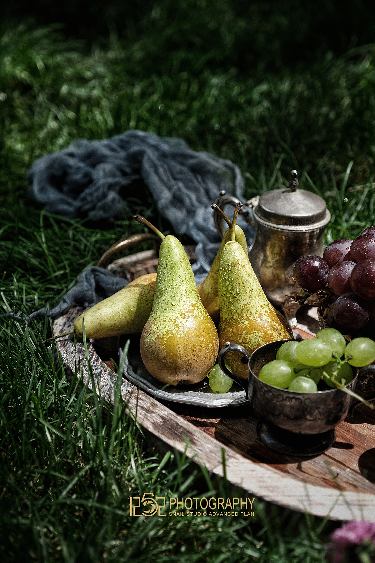 1252第二十六轮约拍##户外森系#|摄影|静物|1252photo - 原创作品