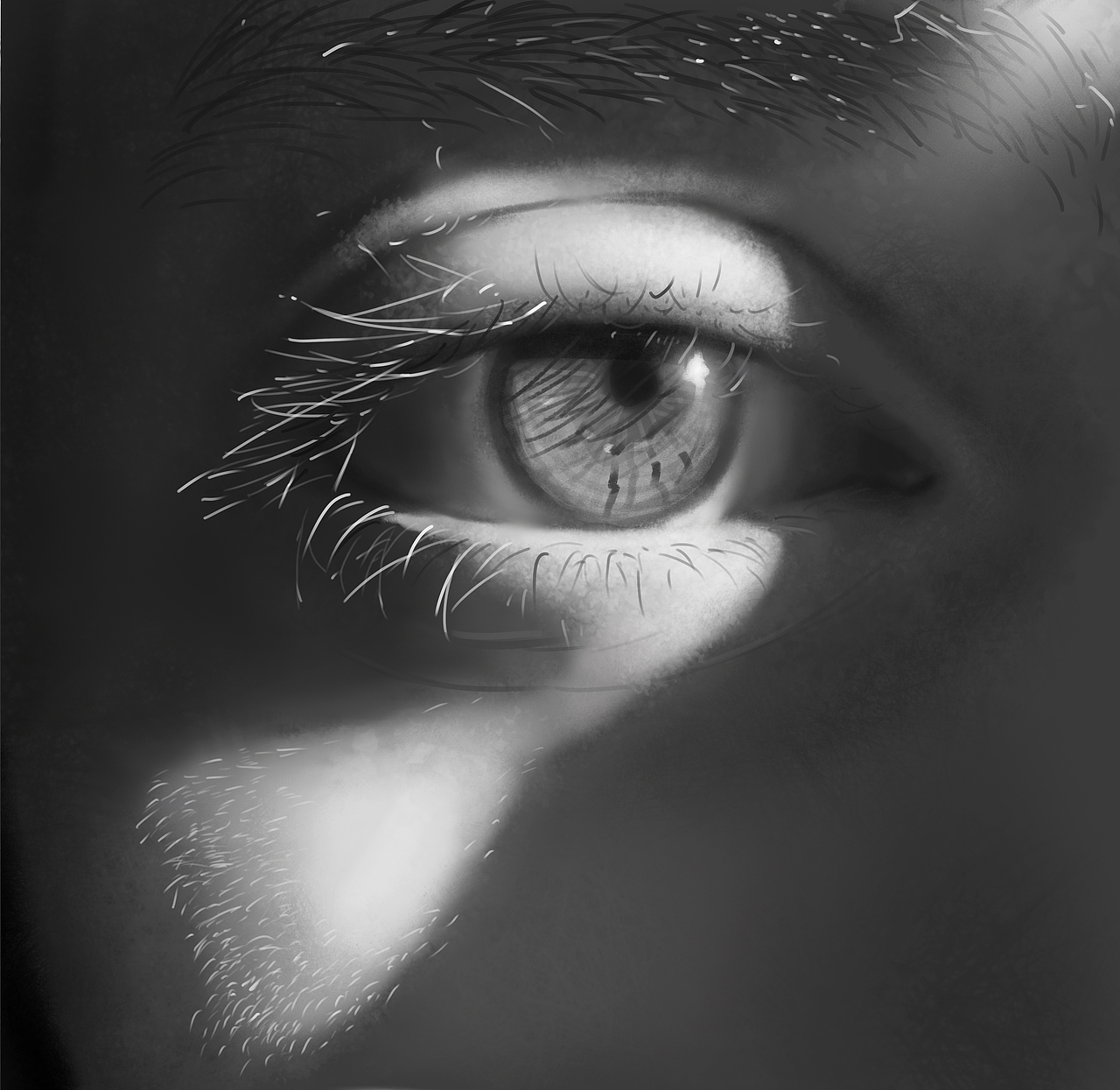 写实风格厚涂练习汇总