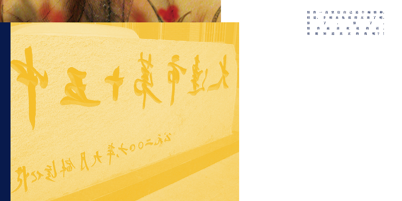 The monster's mind(my book design)