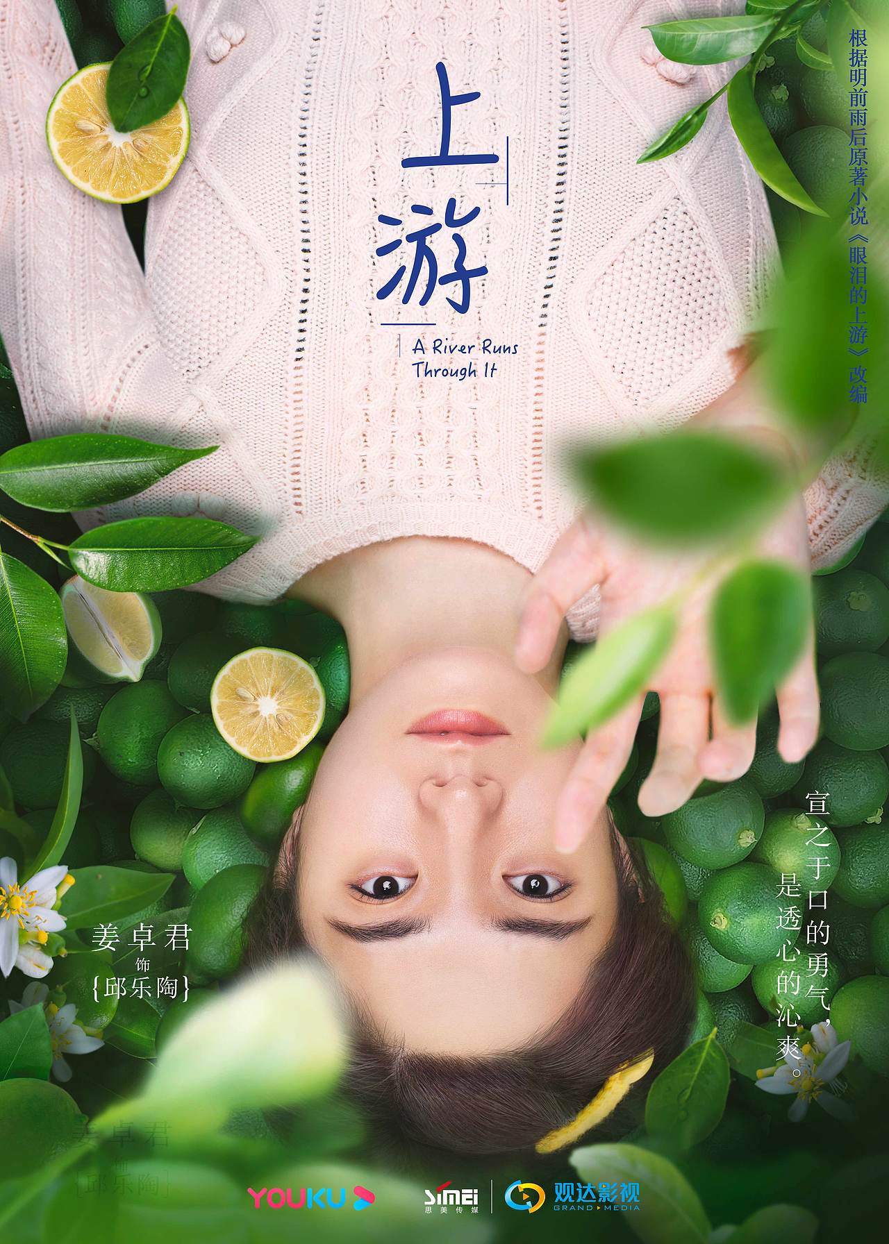 电视剧上游海报