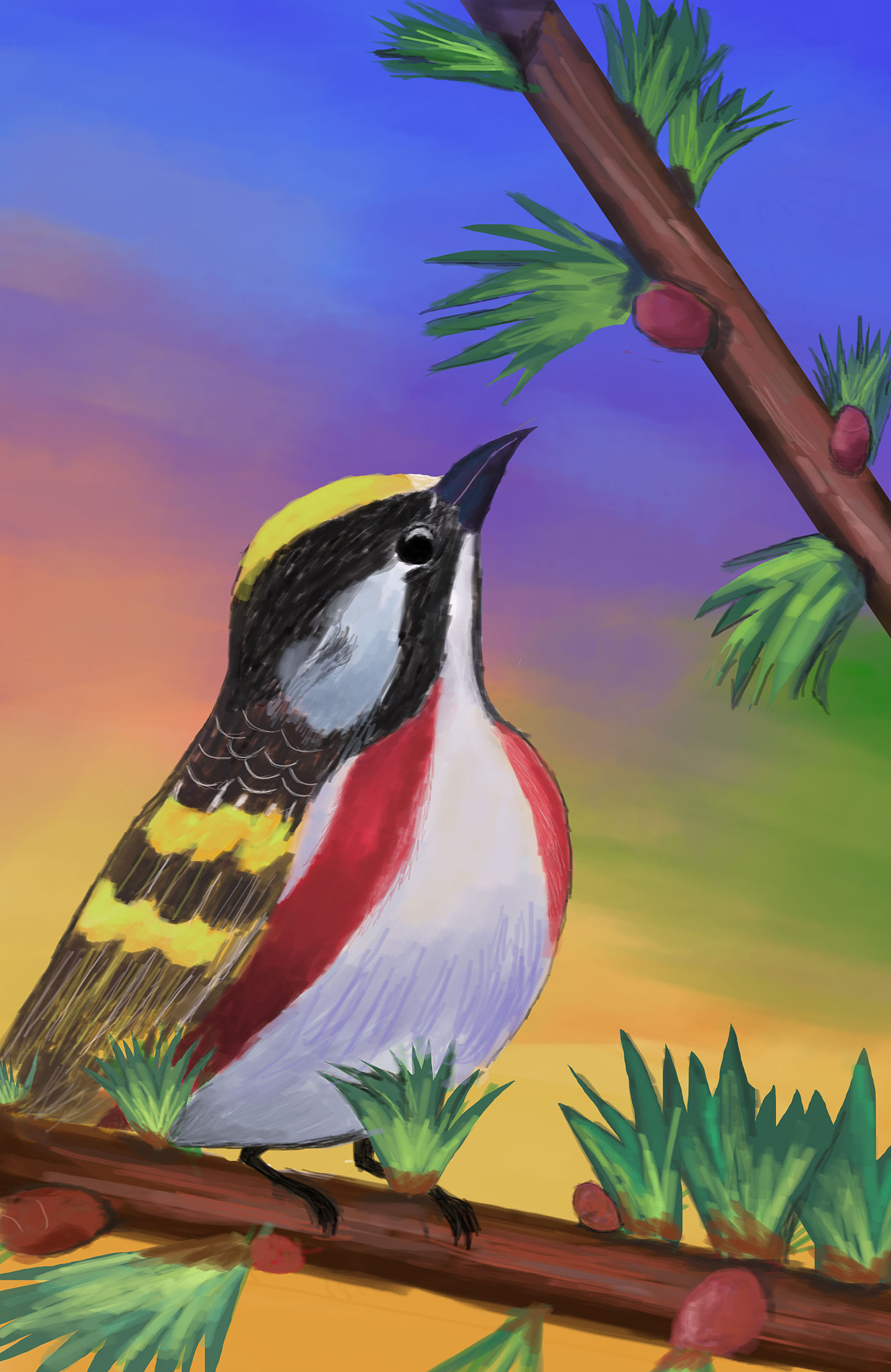 鸟|插画|儿童插画|枝画 - 原创作品 - 站酷 (zcool)