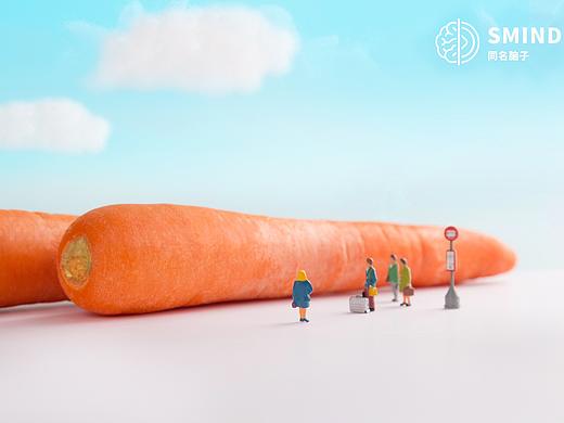 微缩小人 袖珍世界  × SMIND同名脑子