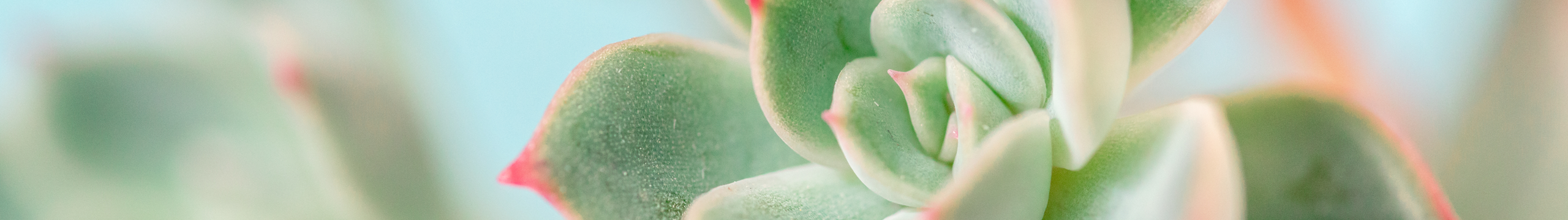 李艾小白的个人主页（封面预览） - 主页封面设置 - 站酷设计师李艾小白原创素材 - 站酷ZCOOL