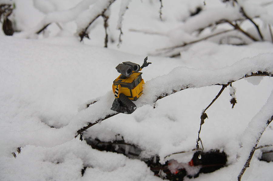 今天下雪了！于是拍玩具！！