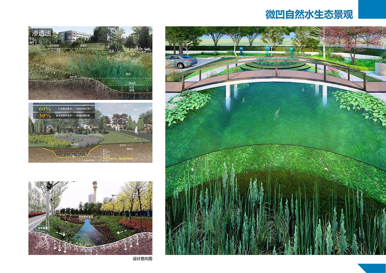 办公环境环境提升和雨水花园试验场地设计