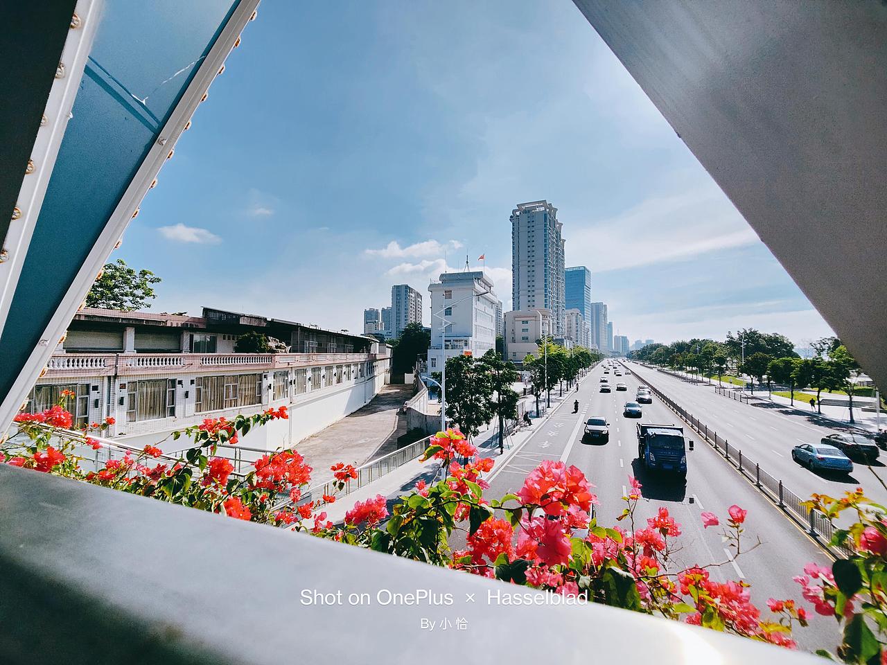 一加9 Pro x Hasselblad | 早间城市光影