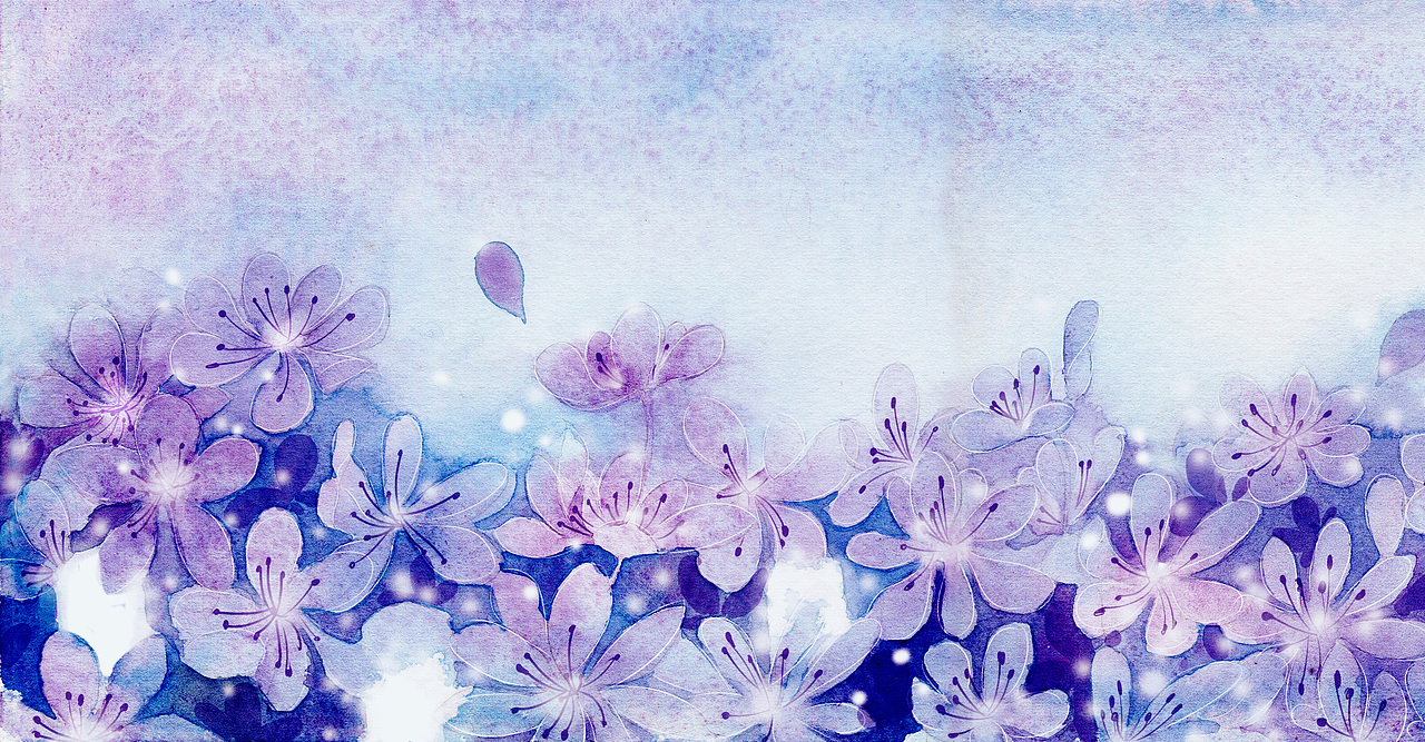 2015年的一些图~