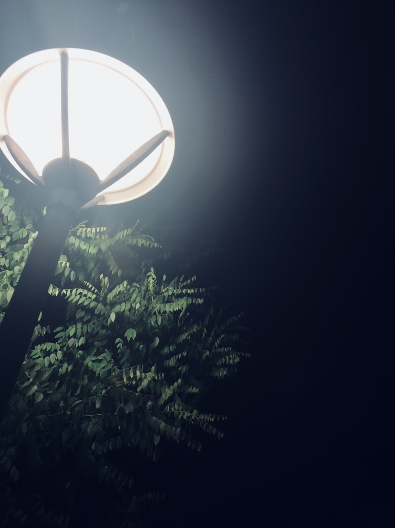 寂静的夜晚（图ZMTE0NDQzNTYw） - 环境/建筑摄影 - 站酷设计师黄墨一原创素材 - 站酷ZCOOL