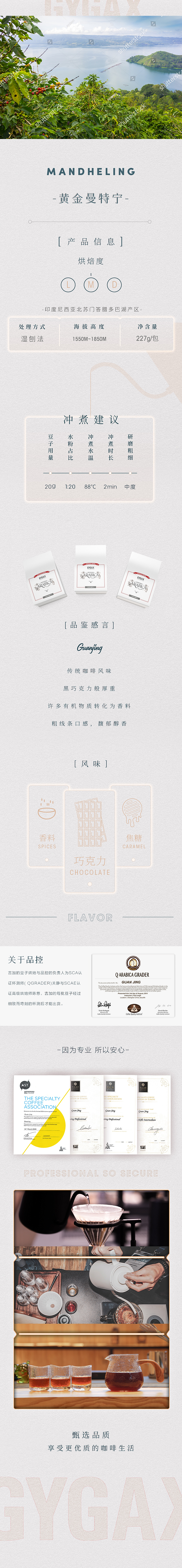 店铺设计【吉加食品旗舰店】（图ZMTU2NDU0Njky） - 品牌 - 站酷设计师DTEN_ZY原创素材 - 站酷ZCOOL