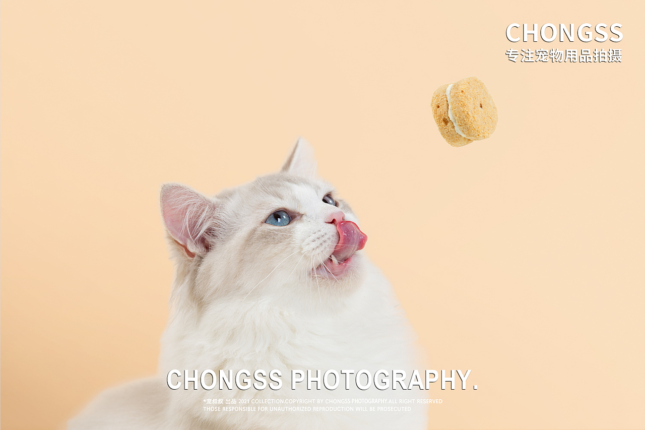 宠物用品/ 宠物产品/海洋之星宠物冻干粮（图ZMjg2NTc2NTM2） - 产品摄影 - 站酷设计师宠叔叔传媒原创素材 - 站酷ZCOOL