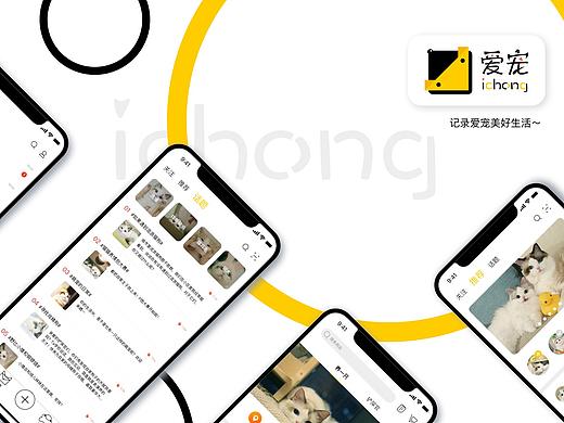 爱宠——宠物社交APP