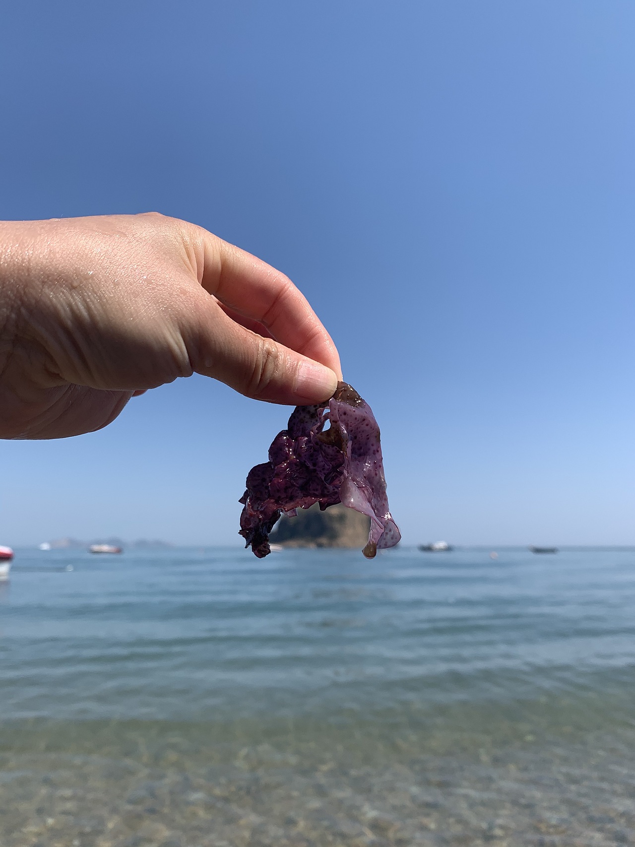 看海,一种让人可以放空思绪的方式