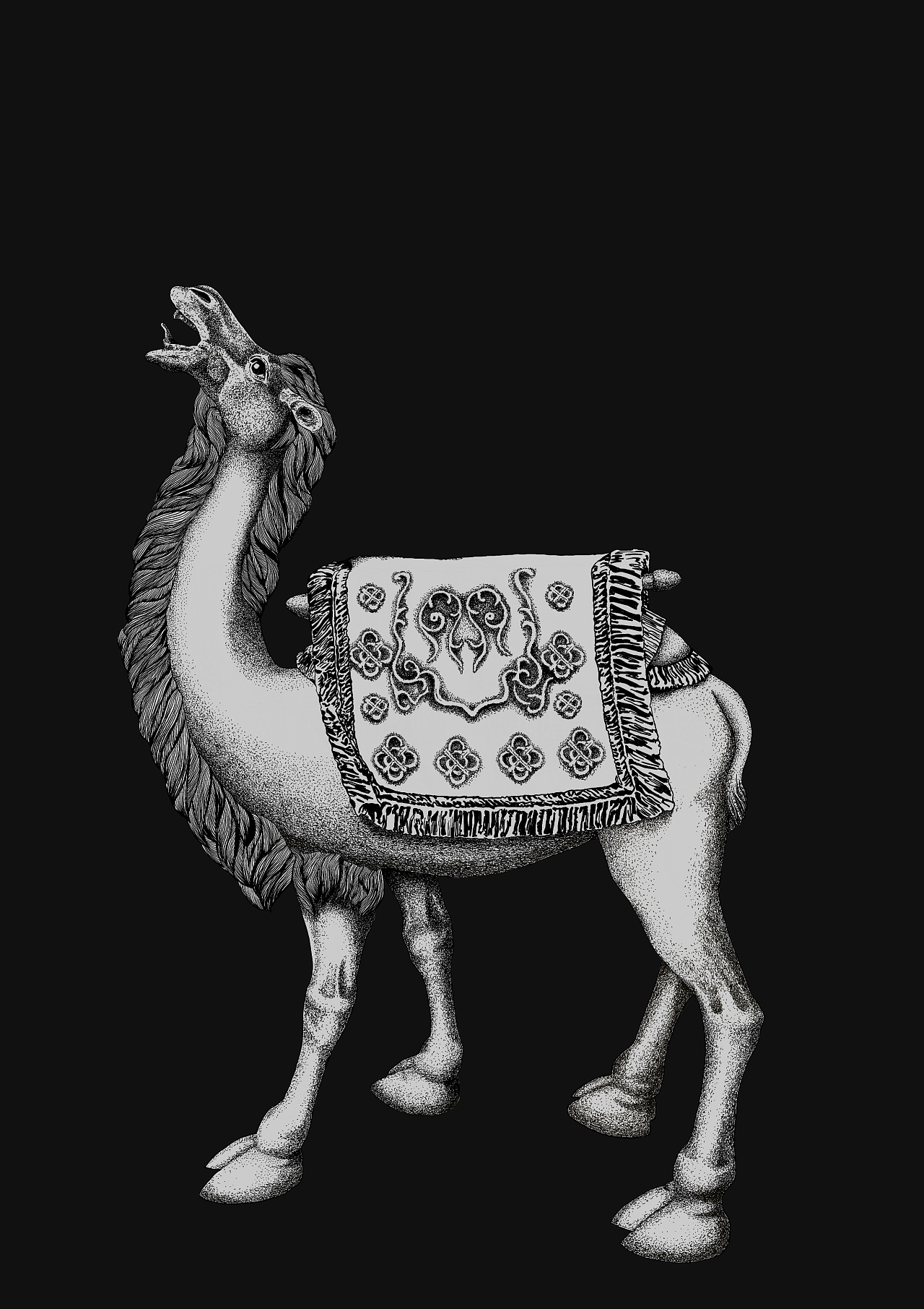      丝绸之路之骆驼