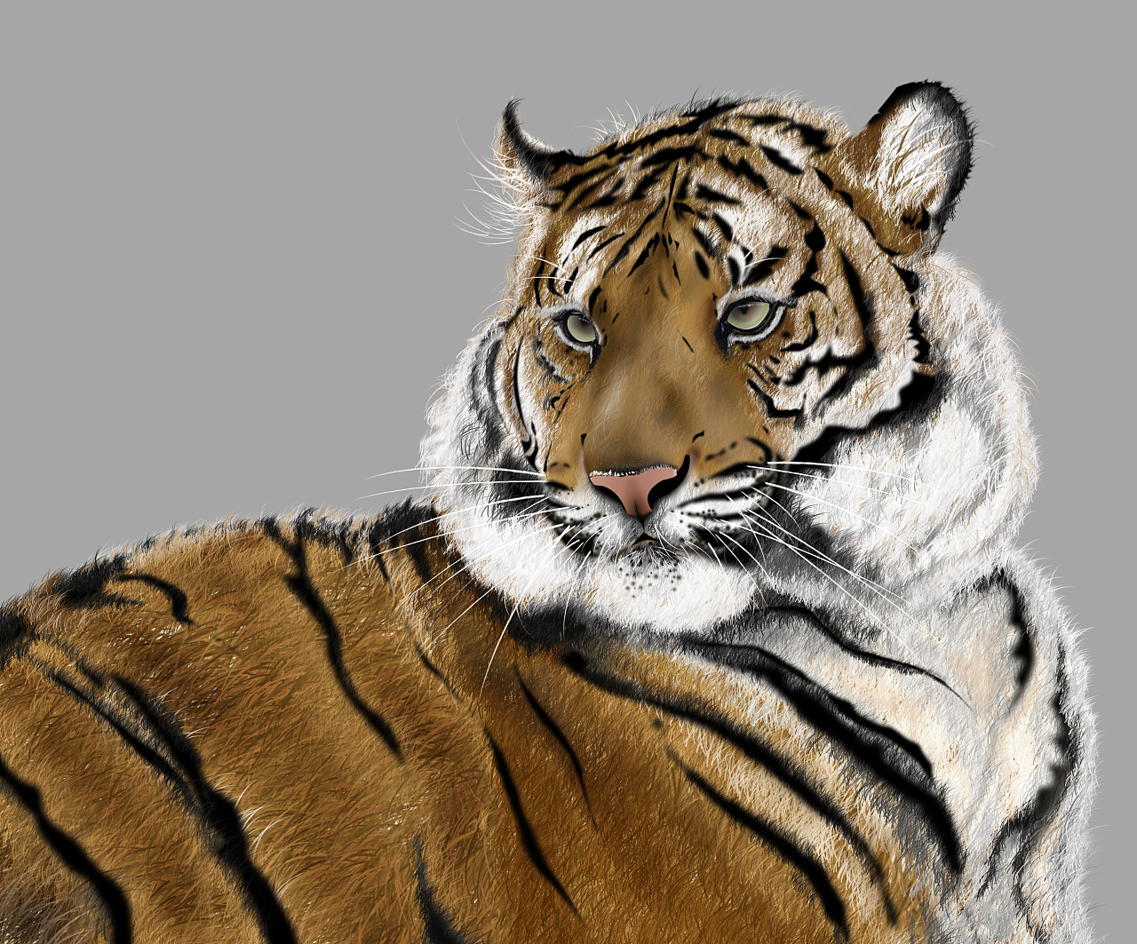 蜗牛与女人,肥虎