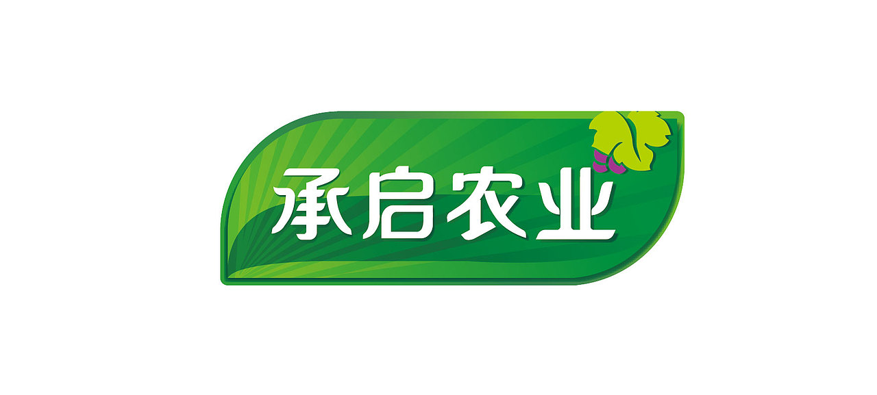 水果企业 葡萄LOGO 包装（图ZODU0Mzg5MjQ=） - 包装 - 站酷设计师王萍CY原创素材 - 站酷ZCOOL