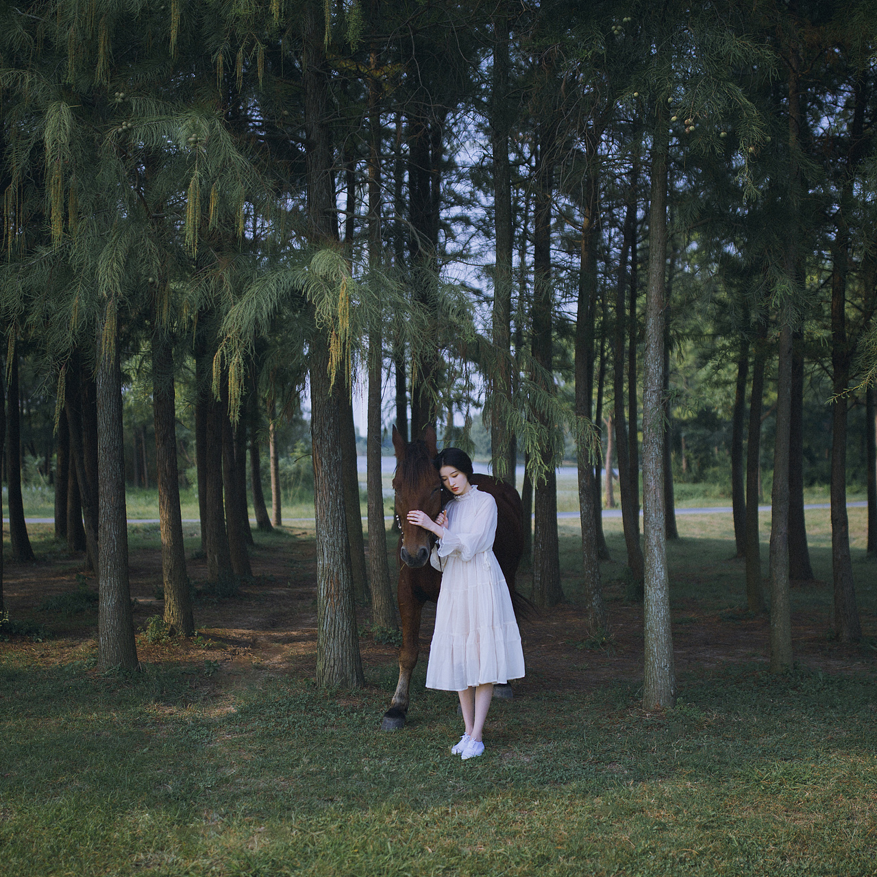 风吹过的田野上