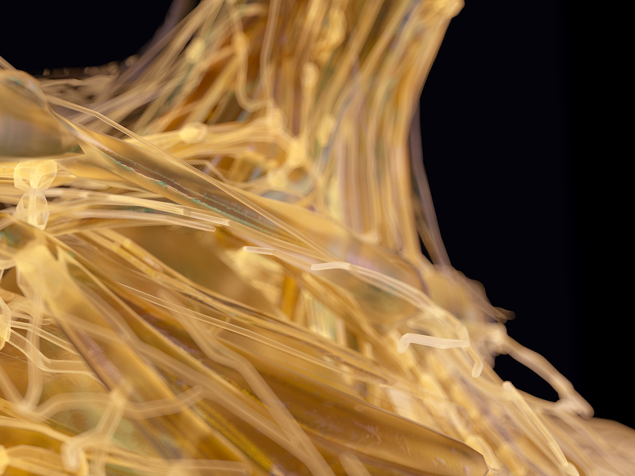 C4D-渲染作品记录