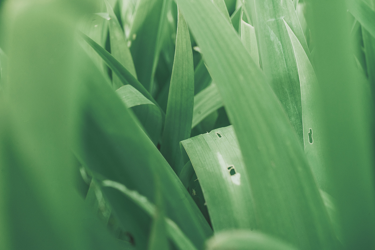 周末（图ZMzEzNDI5Mzg4） - 风光摄影 - 站酷设计师非鱼子鹿原创素材 - 站酷ZCOOL