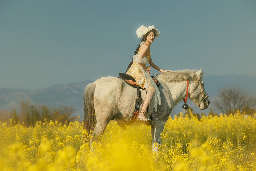 花开花落,不记凋零,因为有你,温暖着光阴