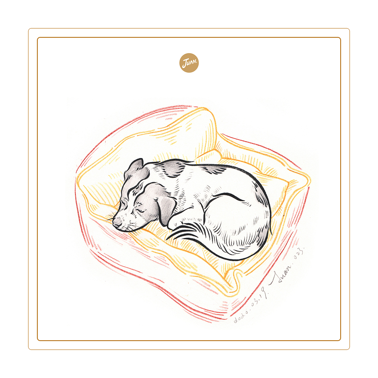 宠物速写（图ZMjA0Mzc1ODY0） - 创作习作 - 站酷设计师刘晓娟JUAN原创素材 - 站酷ZCOOL