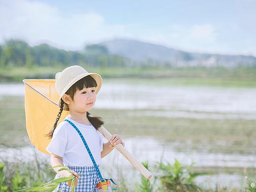 梦鱼·夏日帐