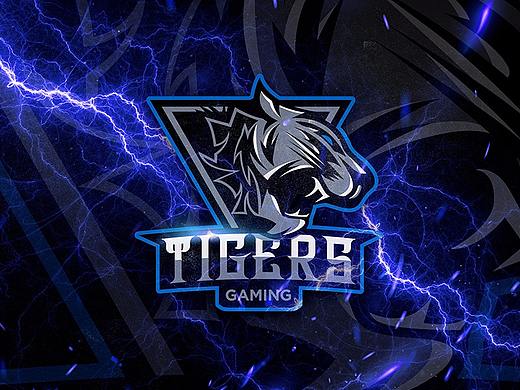 TIGERS GAMING 电竞品牌设计