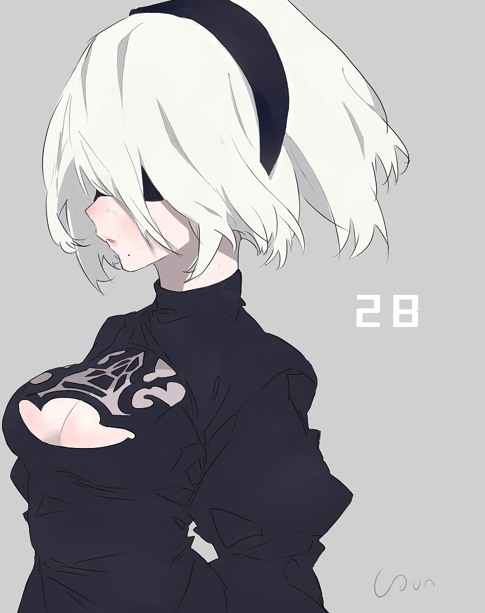 尼尔机械纪元2b/9s