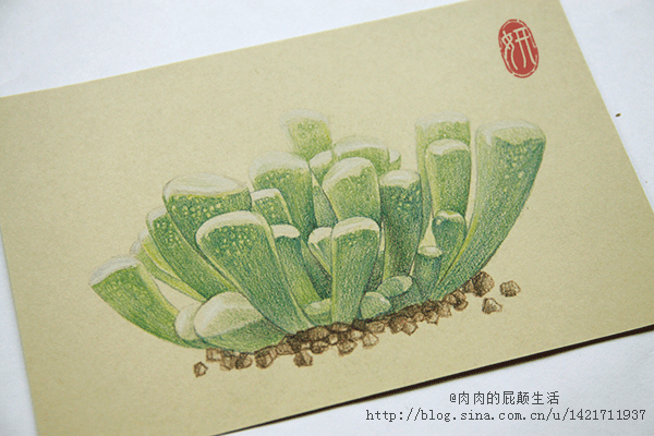 手绘多肉（图ZMTgyOTA3OTI=） - 商业插画 - 站酷设计师Airlsa原创素材 - 站酷ZCOOL