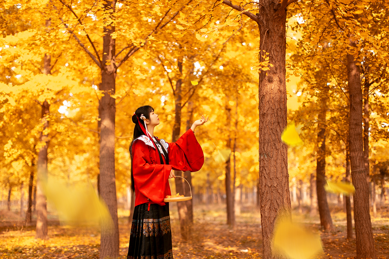 深秋的惬意，是好柿与落叶（图ZMTg0MjY1MTQw） - 人像摄影 - 站酷设计师段老法师原创素材 - 站酷ZCOOL