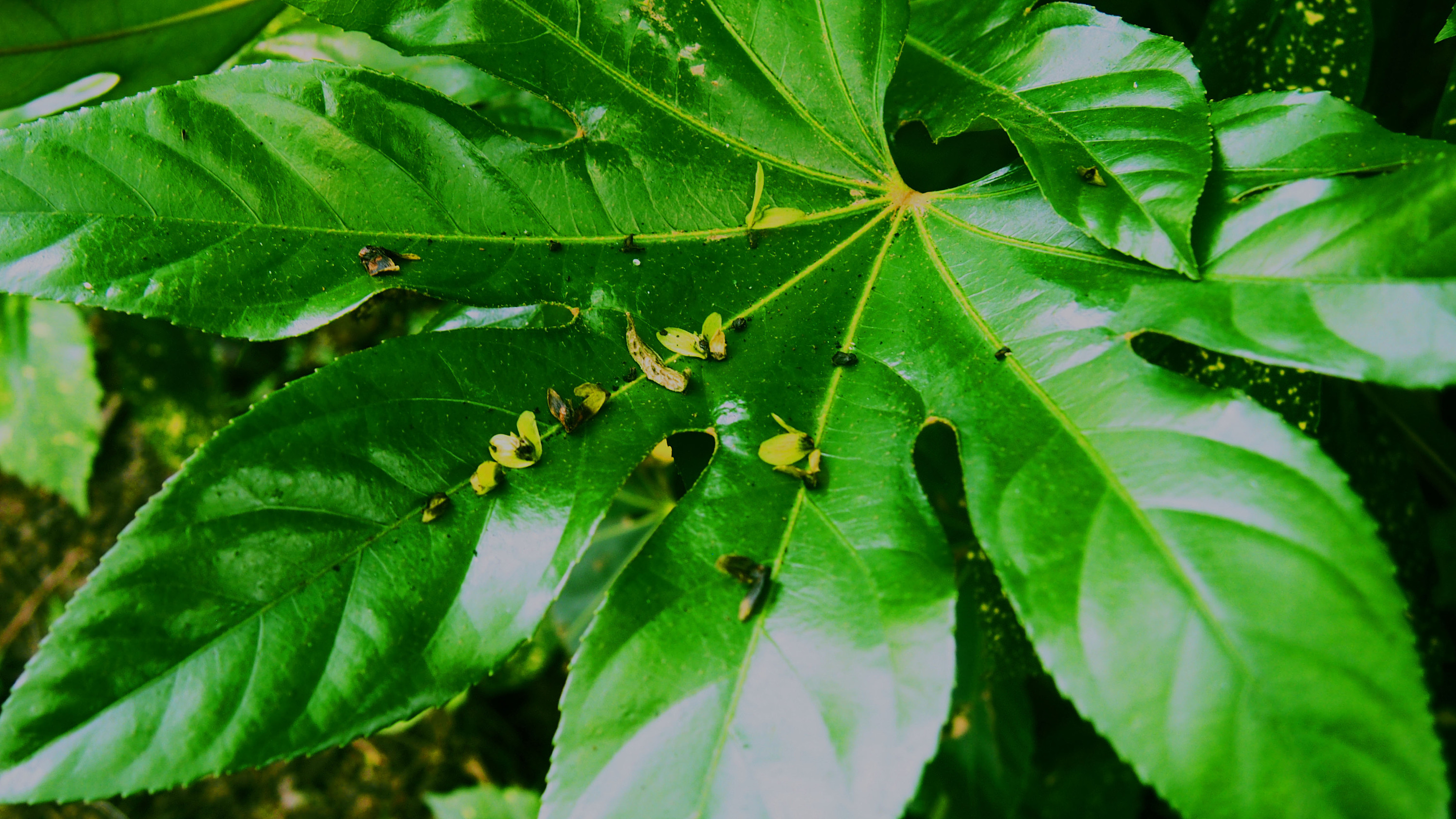 南京 四方当代艺术馆|摄影|环境/建筑|四季春豆沙包 - 原创作品