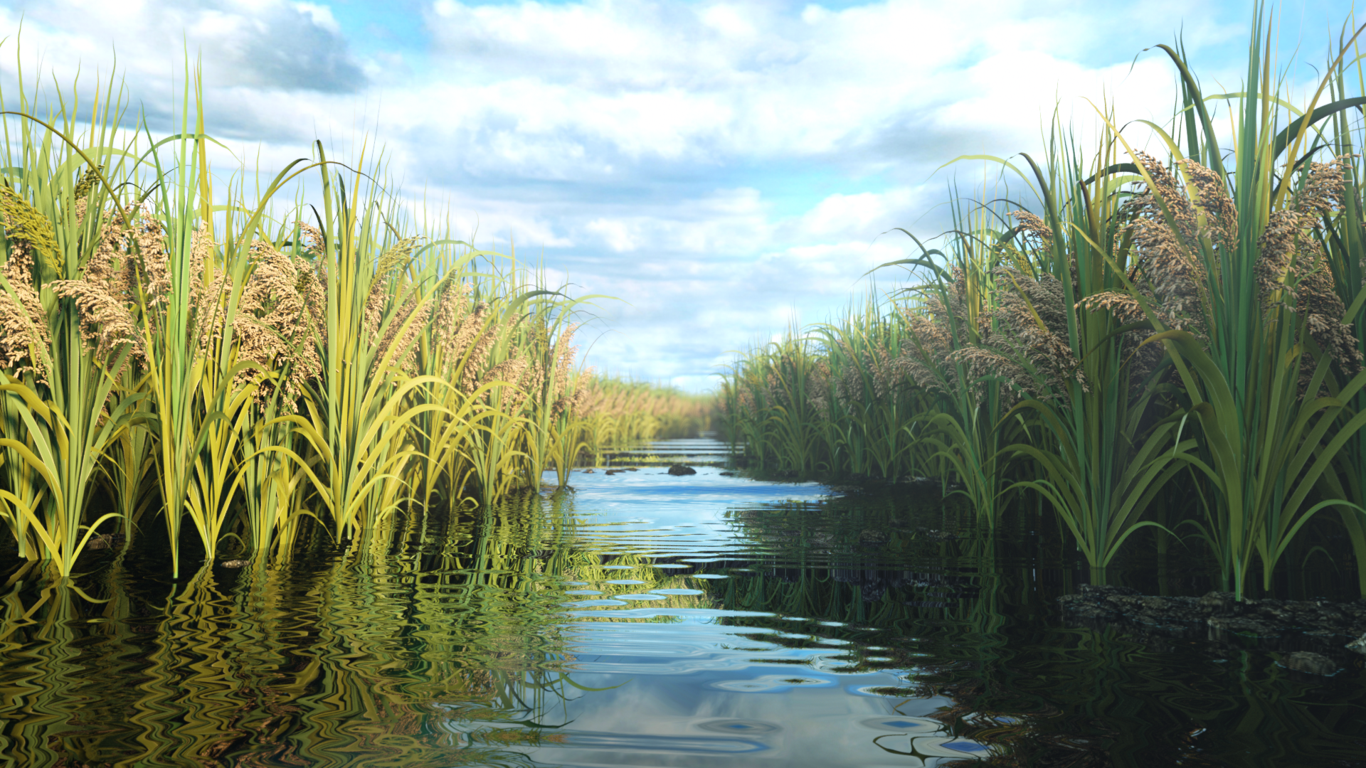 Z40548226的个人主页（封面预览） - 主页封面设置 - 站酷设计师Z40548226原创素材 - 站酷ZCOOL