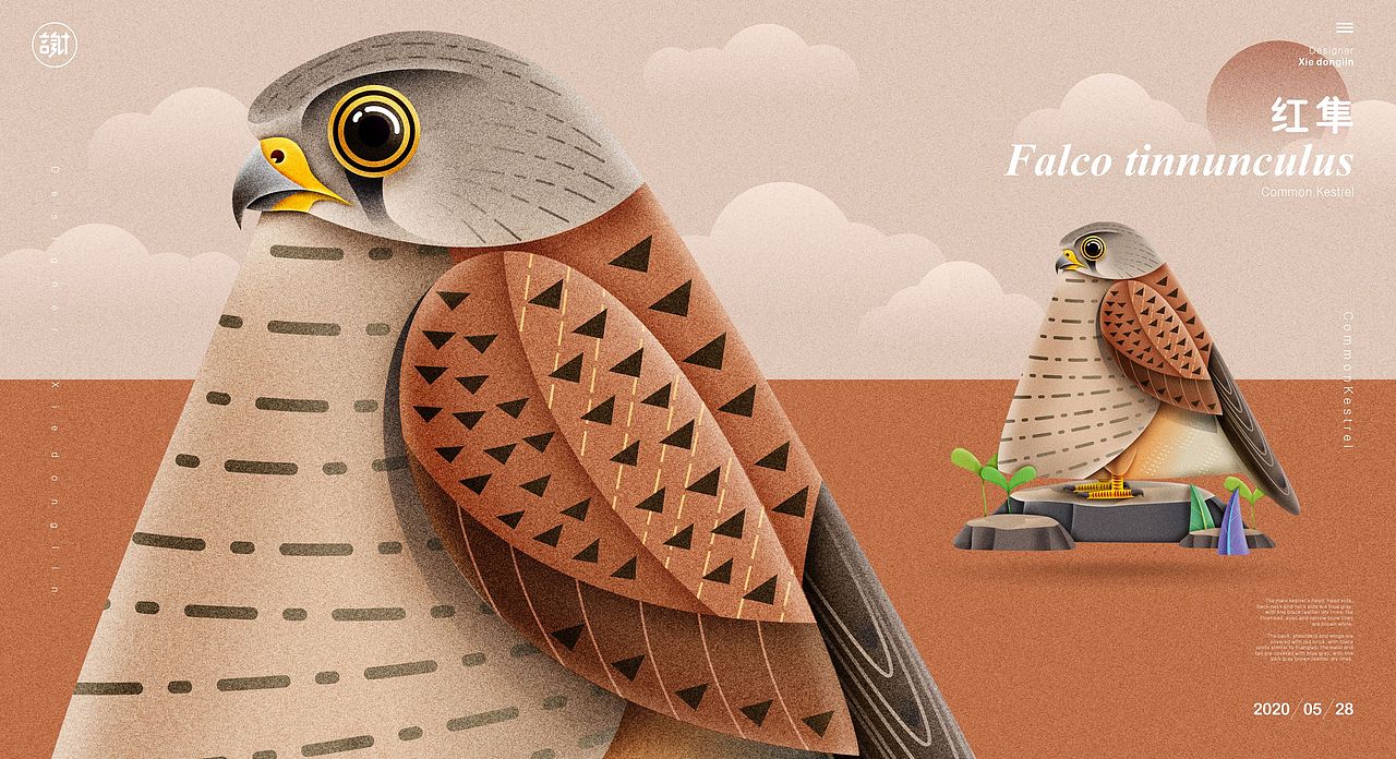 鸟儿（图ZMjEwNTYzMzI4） - 绘本 - 站酷设计师言身寸言身寸原创素材 - 站酷ZCOOL