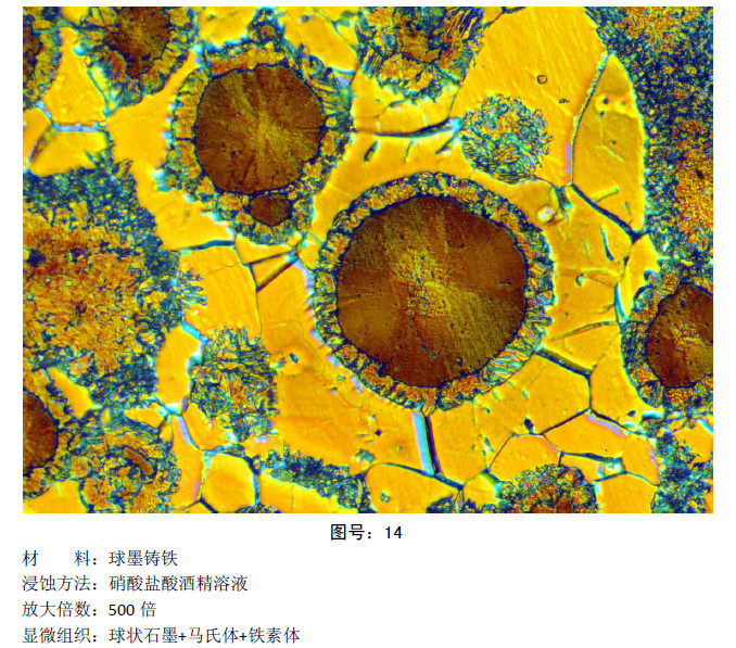 一文读懂马氏体|奥氏体|珠光体,20种材料彩色金相识别