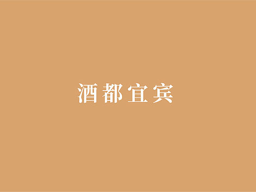 宜宾城市形象LOGO设计（提案）
