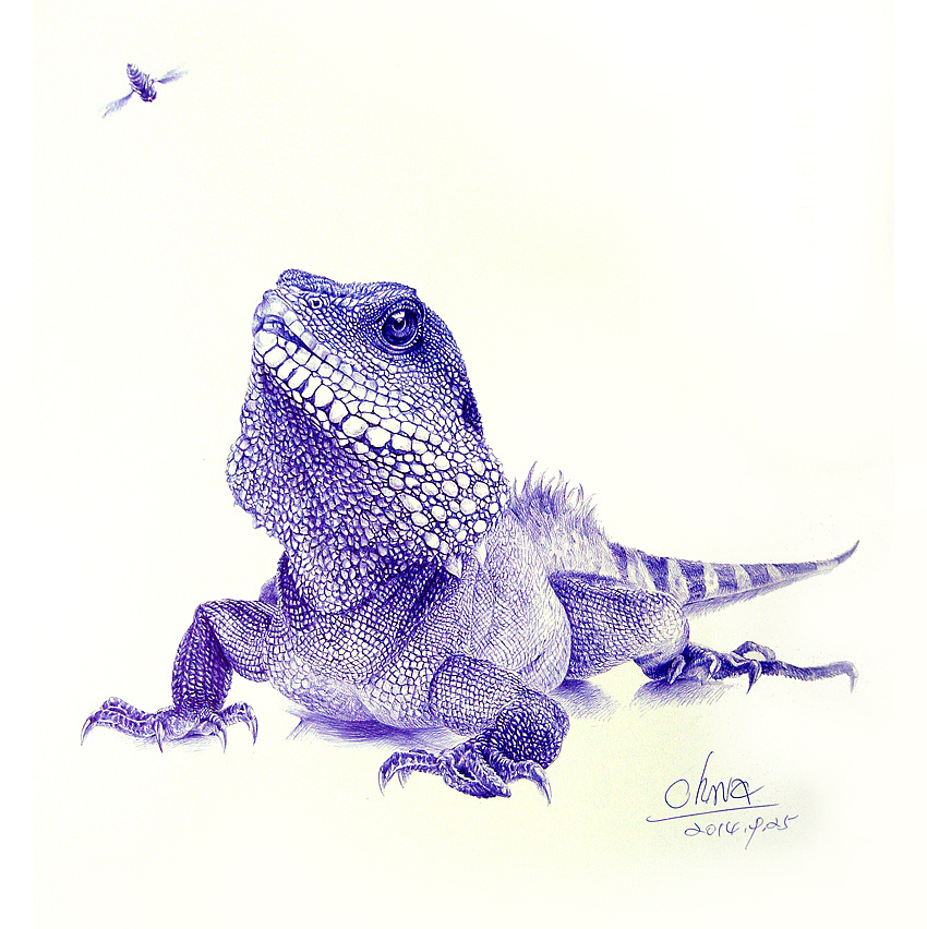 圆珠笔画-动物篇