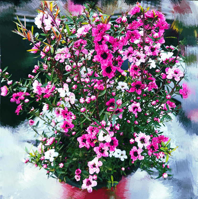 刘勇良画意摄影:那些盛开的花朵