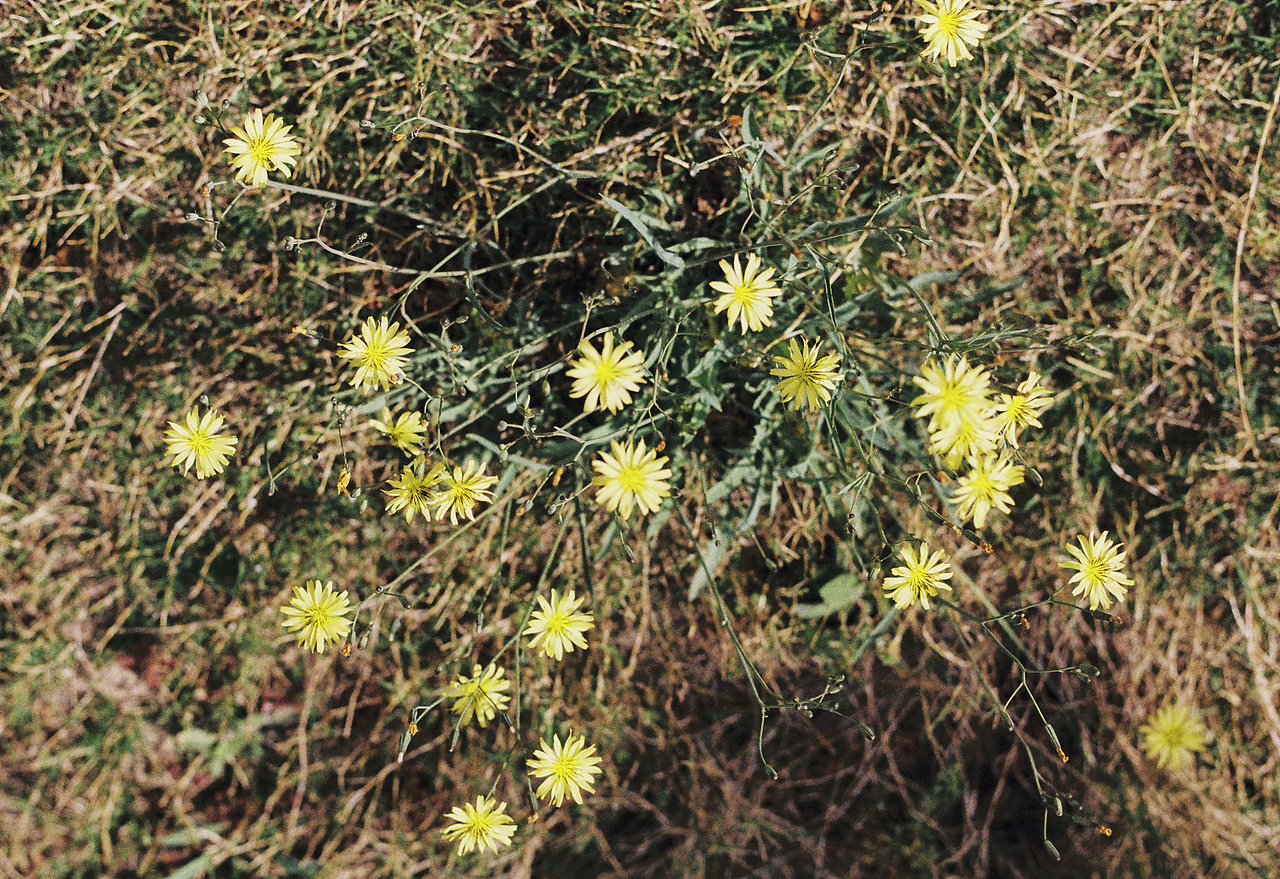 《向春天出发》（图ZMjk3OTUwMjA0） - 人像摄影 - 站酷设计师老陈不吃泡泡糖原创素材 - 站酷ZCOOL