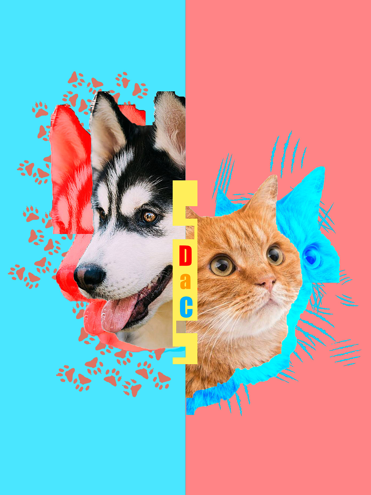 狗与猫|平面|海报|暴躁水豚 - 原创作品 - 站酷 (zcool)