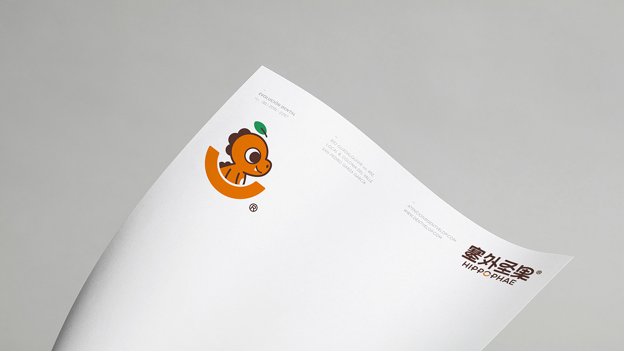 LOGO 包装 包装设计 vi vi设计 ip ip设计 饮料包装(图ZMzUxMTY0MDUy) - 品牌 - 站酷设计师郑昌洪品牌vi包装原创素材 - 站酷ZCOOL