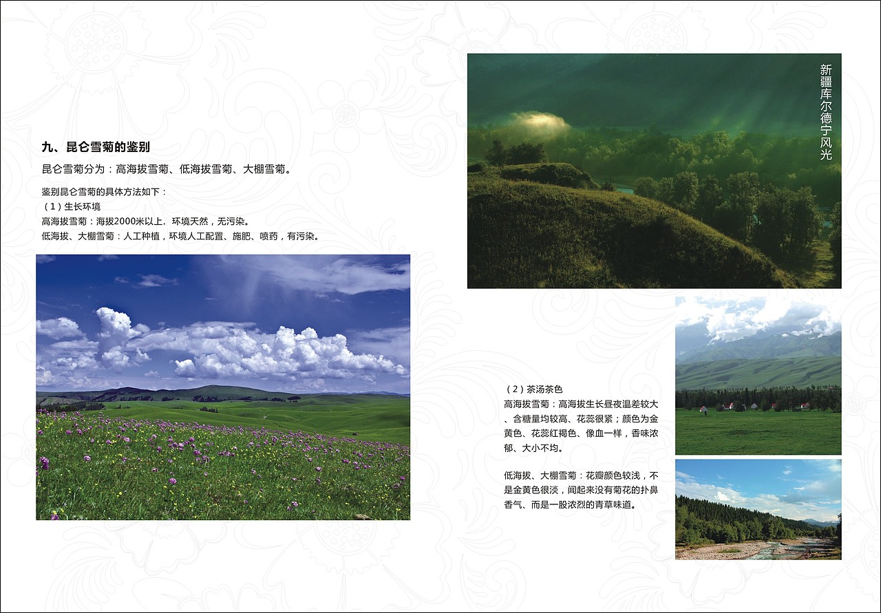 淘宝宣传小手册（图ZMjA0MjY3OTY=） - 电商 - 站酷设计师七玥pancy原创素材 - 站酷ZCOOL