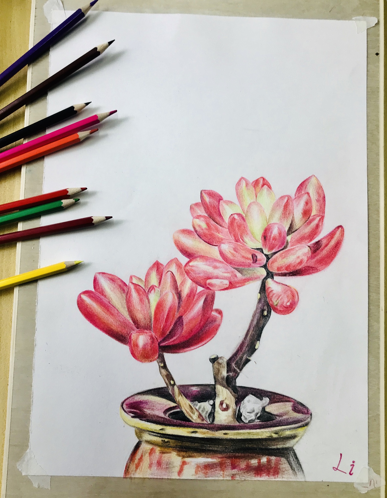 人物多肉彩铅画