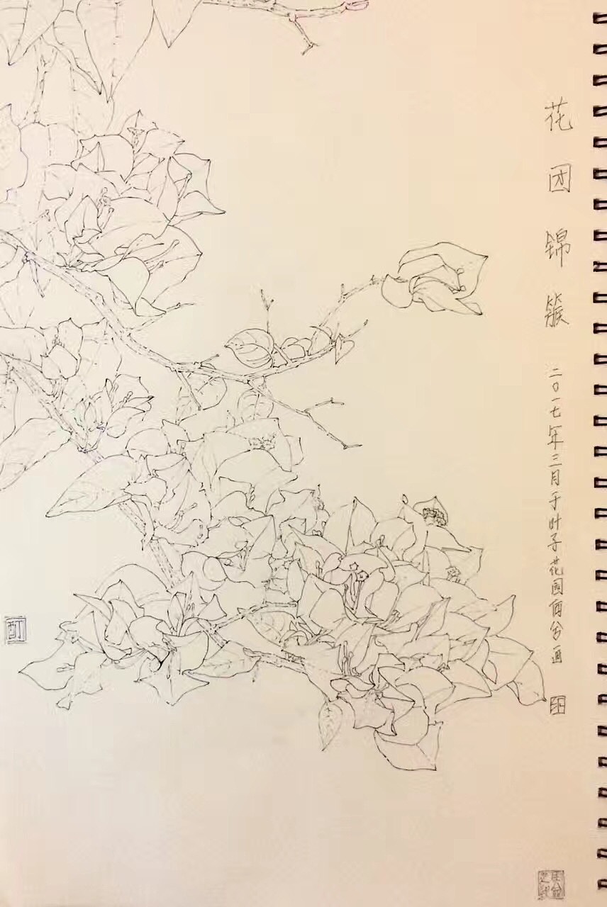 植物写生（图ZMTM1OTA5MDcy） - 绘画 - 站酷设计师ixixeh原创素材 - 站酷ZCOOL