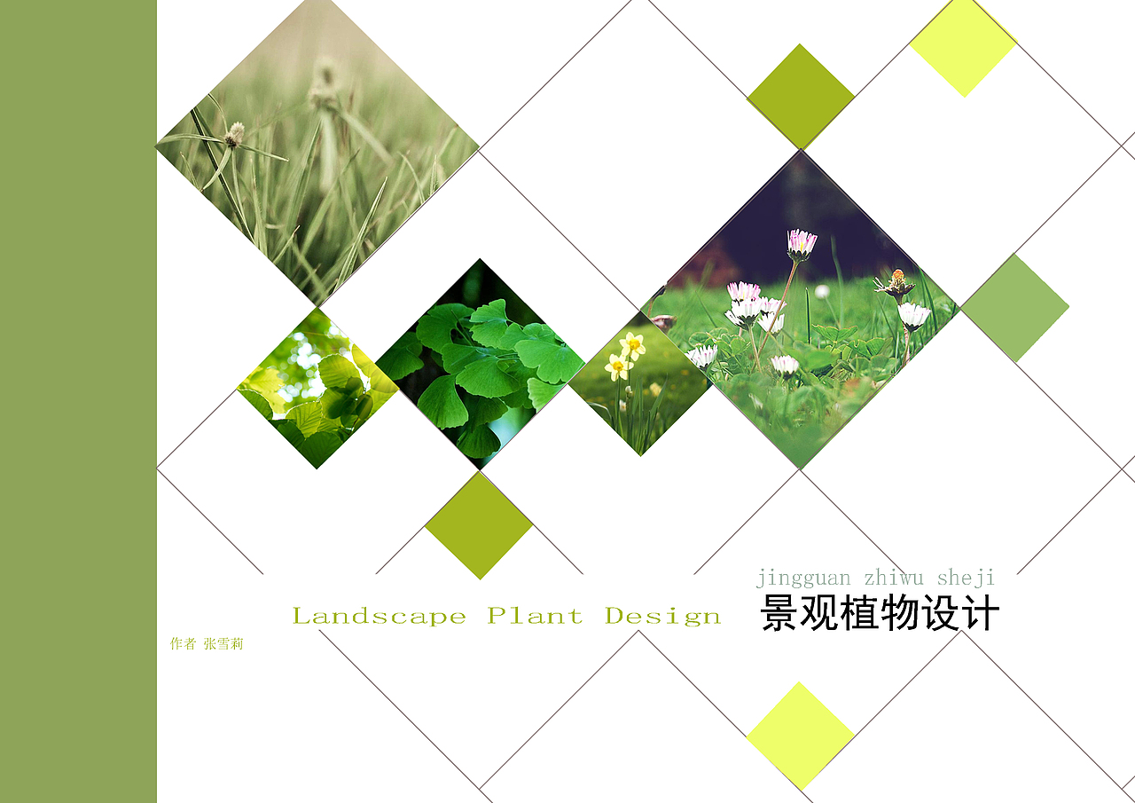 庭院景观植物设计方案