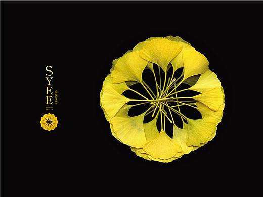 syee医疗美容logo