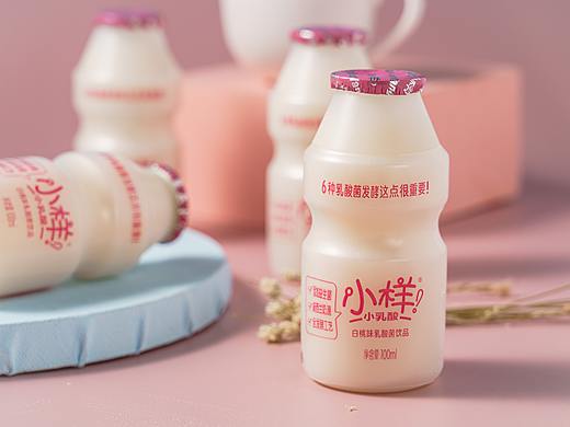 乳酸菌