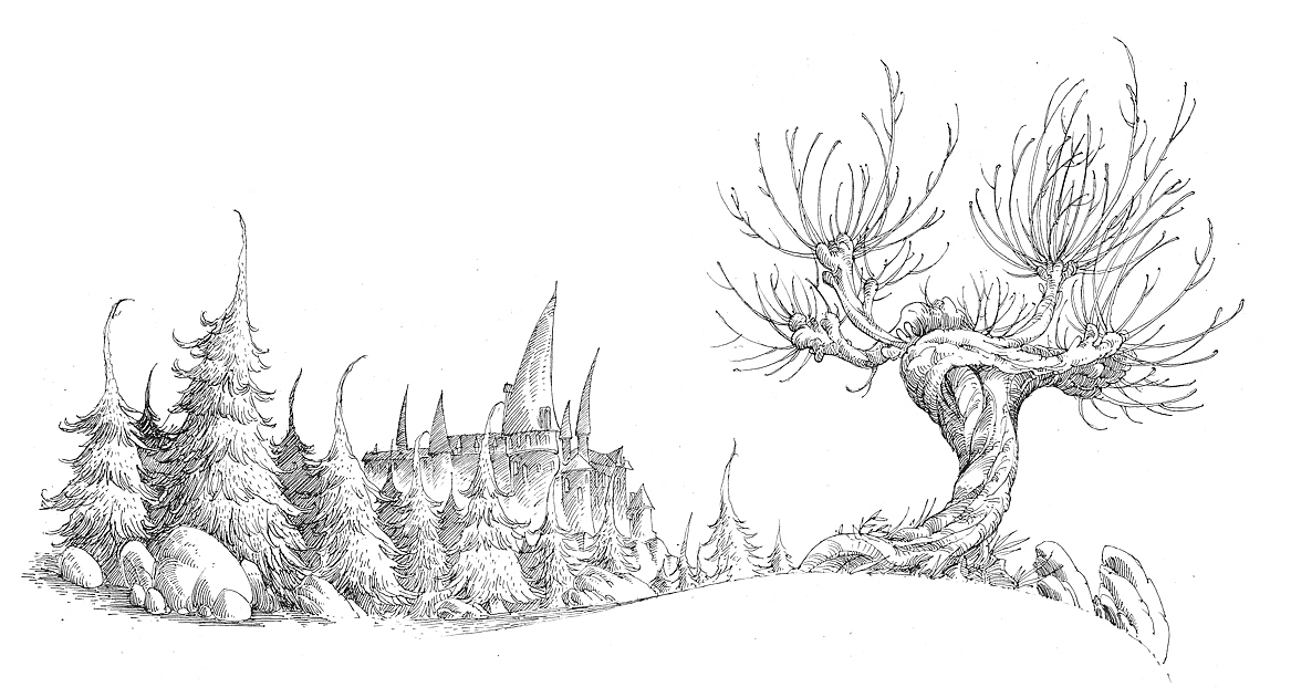 孙东老师关于哈利波特的几张摸鱼~