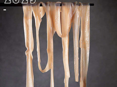 火锅店火锅食材拍摄生鲜牛肉片鸭肠蔬菜